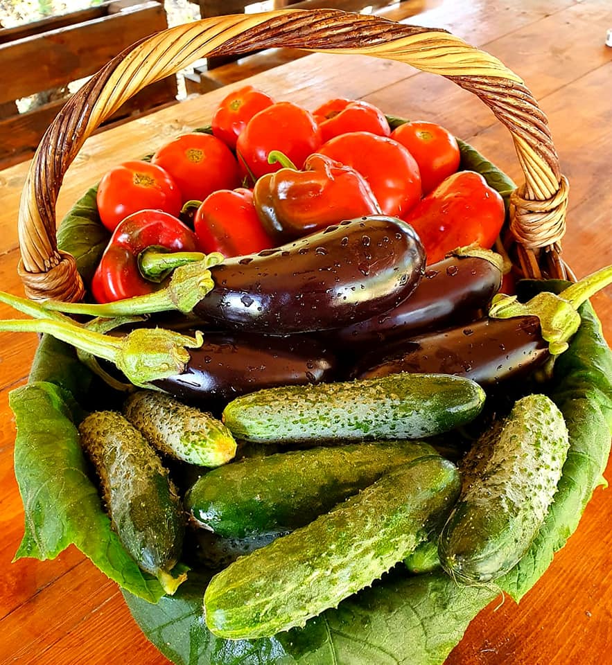 legume grena1
