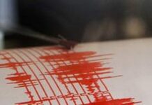 Cutremur în România. S-a resimţit în mai multe zone din ţară cutremur