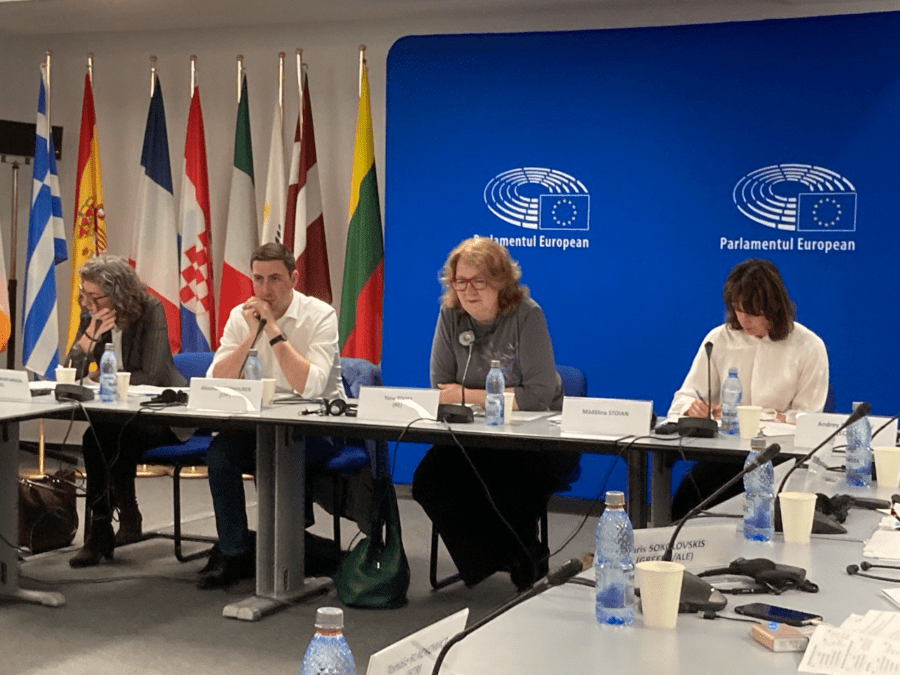 Foto: Reprezentanța Uniunii Europene din București, unde delegații PETI din Parlamentul European s-au întâlnit cu părțile interesate din afara Ministerului Mediului, luni, 15 mai 2023. Foto: Crina Boroș