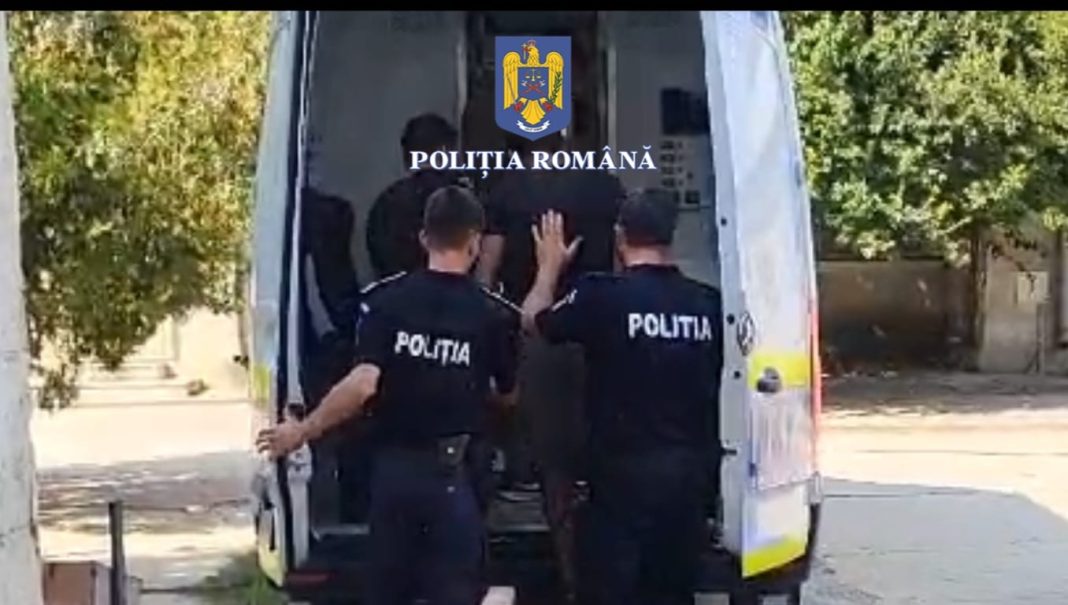 fraţi arestaţi