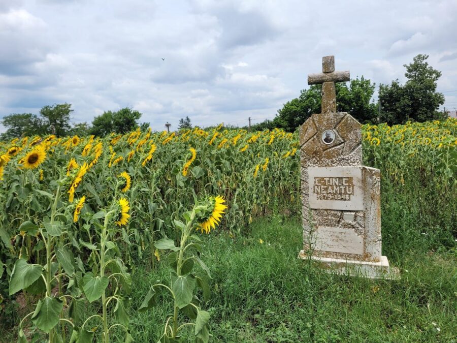 Mormântul proprietarului conacului, Constantin Olaru, înmormântat în apropierea clădirii, în câmp.