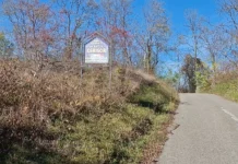 Rețeaua lui Constantin Hanț, afaceristul din cătunele Hunedoarei care se lăuda că l-a angajat pe Călin Georgescu