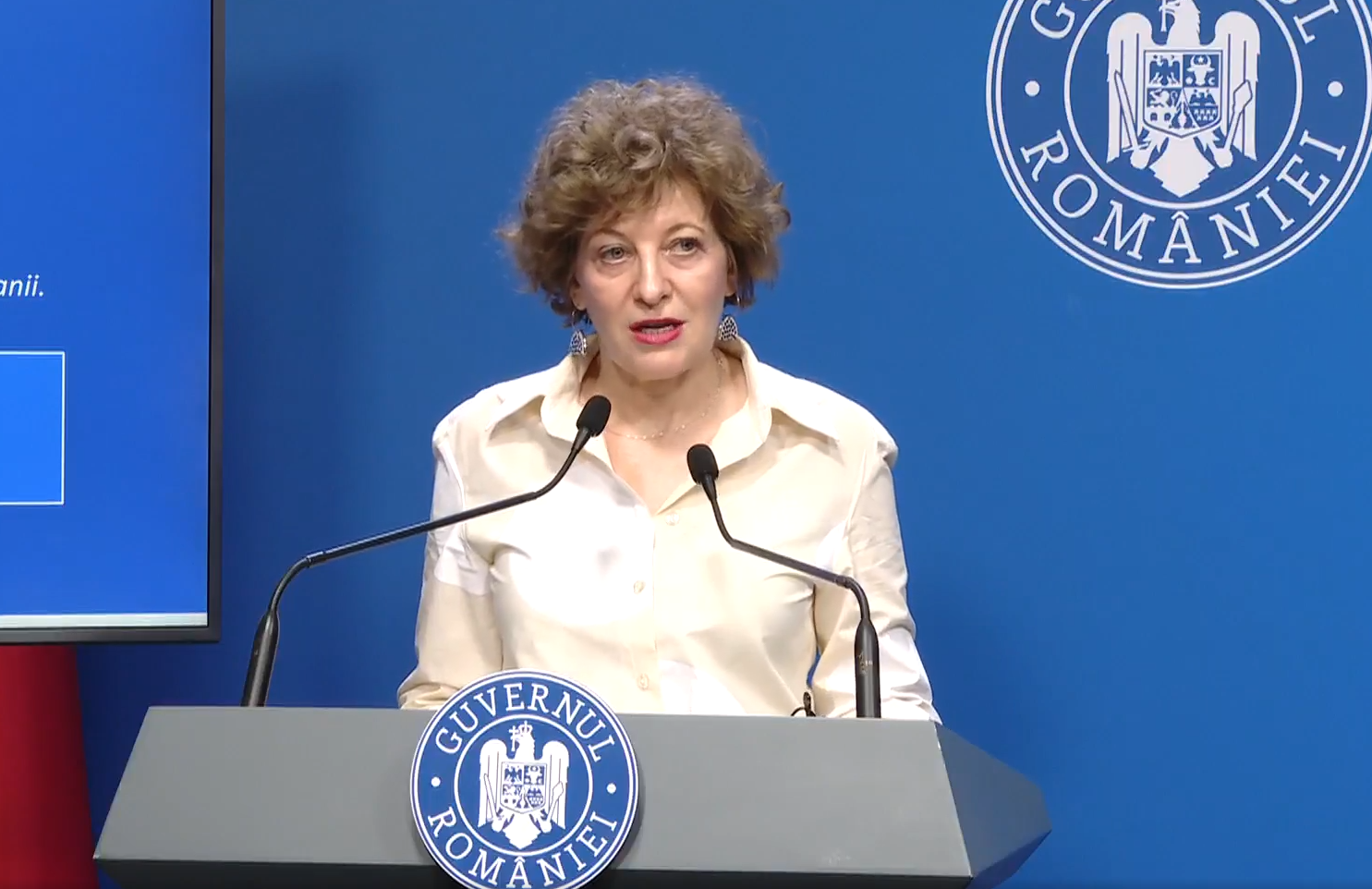 Reforma „Găurilor Negre”: Planul Guvernului pentru cele 22 de companii de stat care înghit miliarde