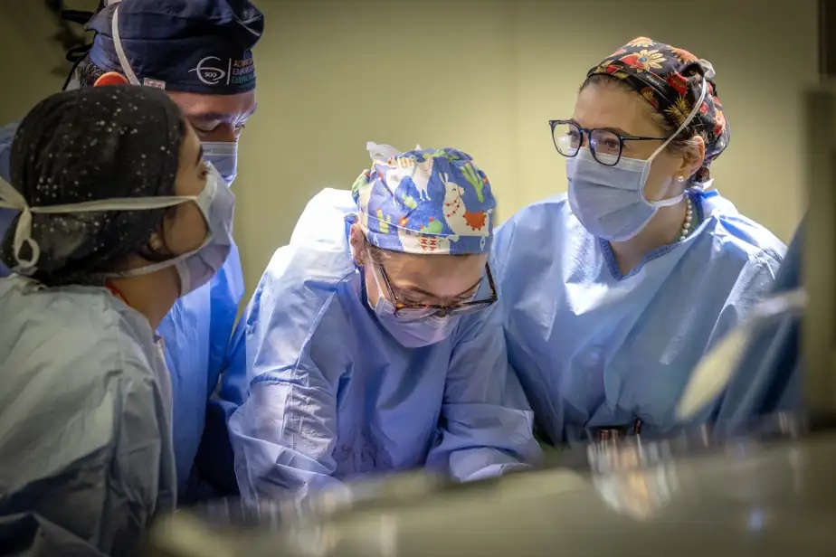Povestea emoționantă a surorilor din Olt ajunse chirurgi oncologi la Montreal sursa foto: lapress.ca
