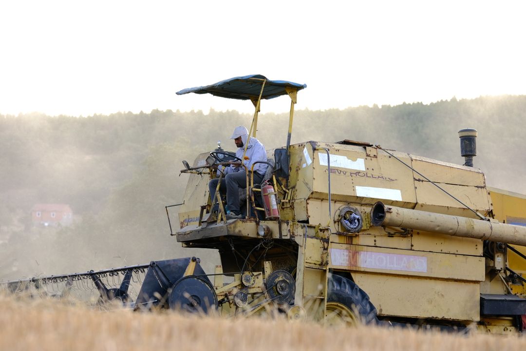 Provocările agriculturii românești: Costuri mari, prețuri sub presiune și lipsa unei strategii de valorificare sursa: Pexels